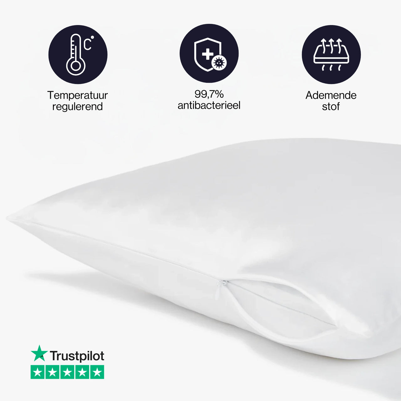 Funda de almohada de seda